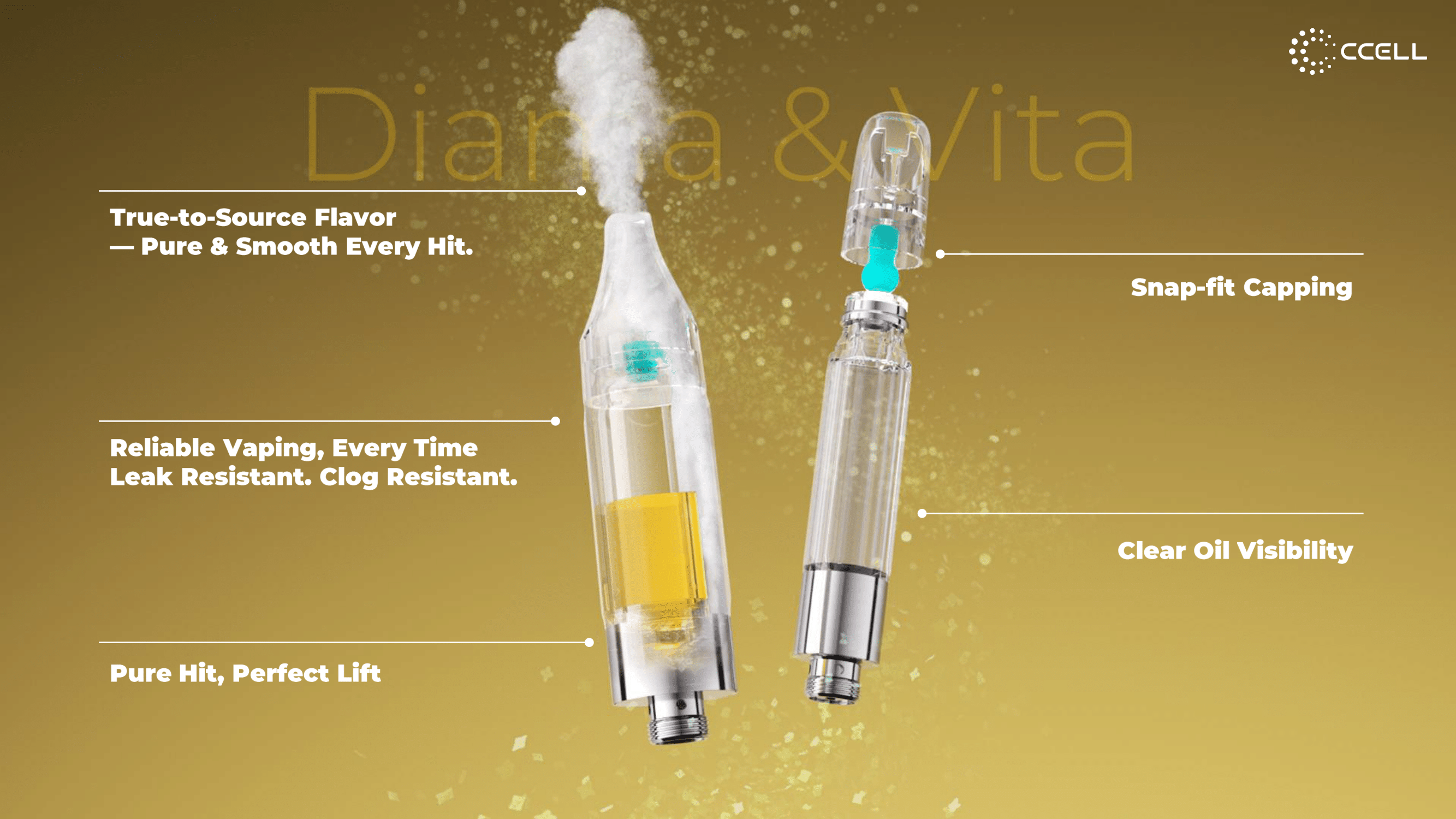 Diama & Vita Launch File (1)-07